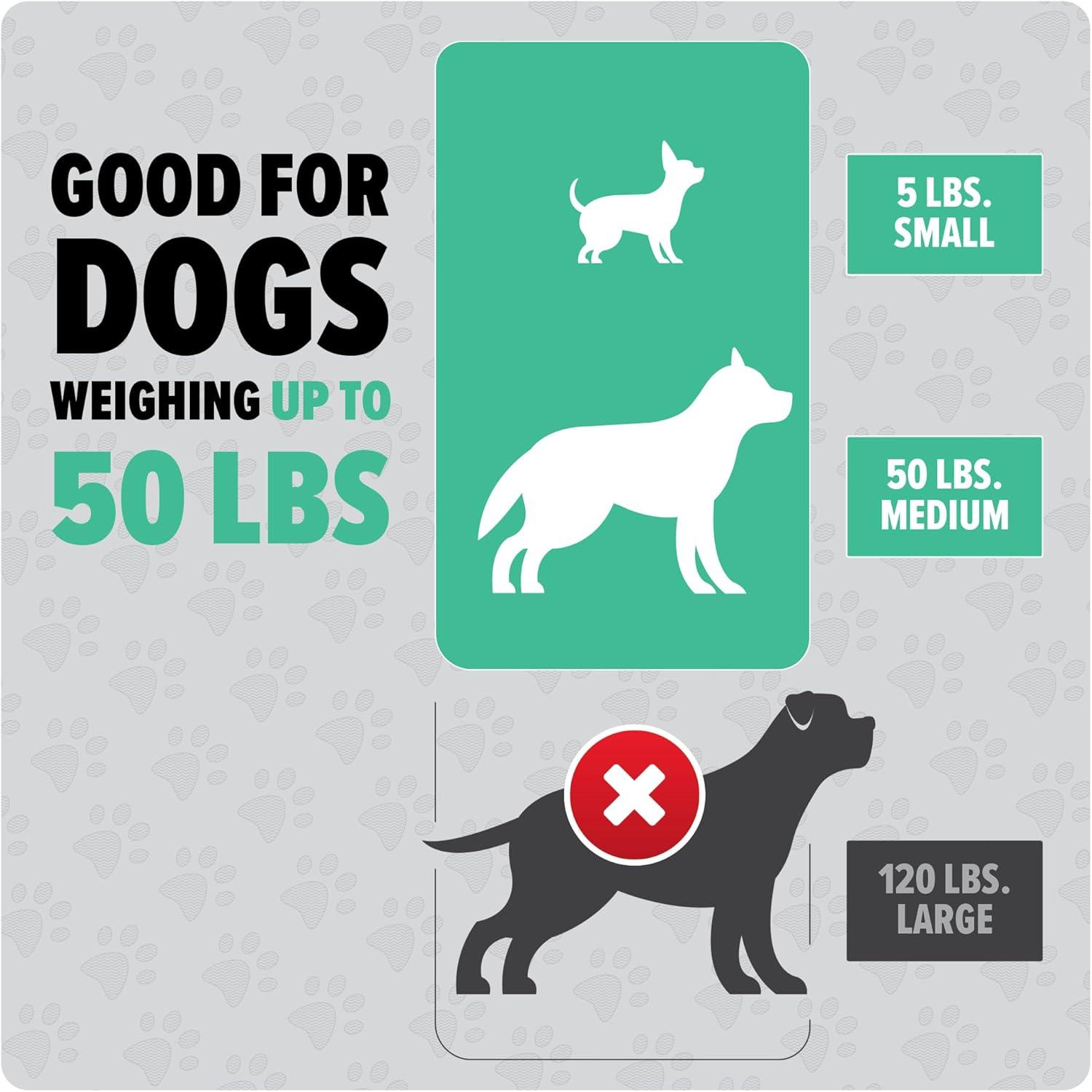 image:imageDirt Devil Dogwalker Pet Waste Vacuum Portable Handheld Vacuum NoContact Poop Scooper for Dogs Ideal for Dogs up to 50 Pounds Dog Poop Scooper for Yard Cleanup and Walks