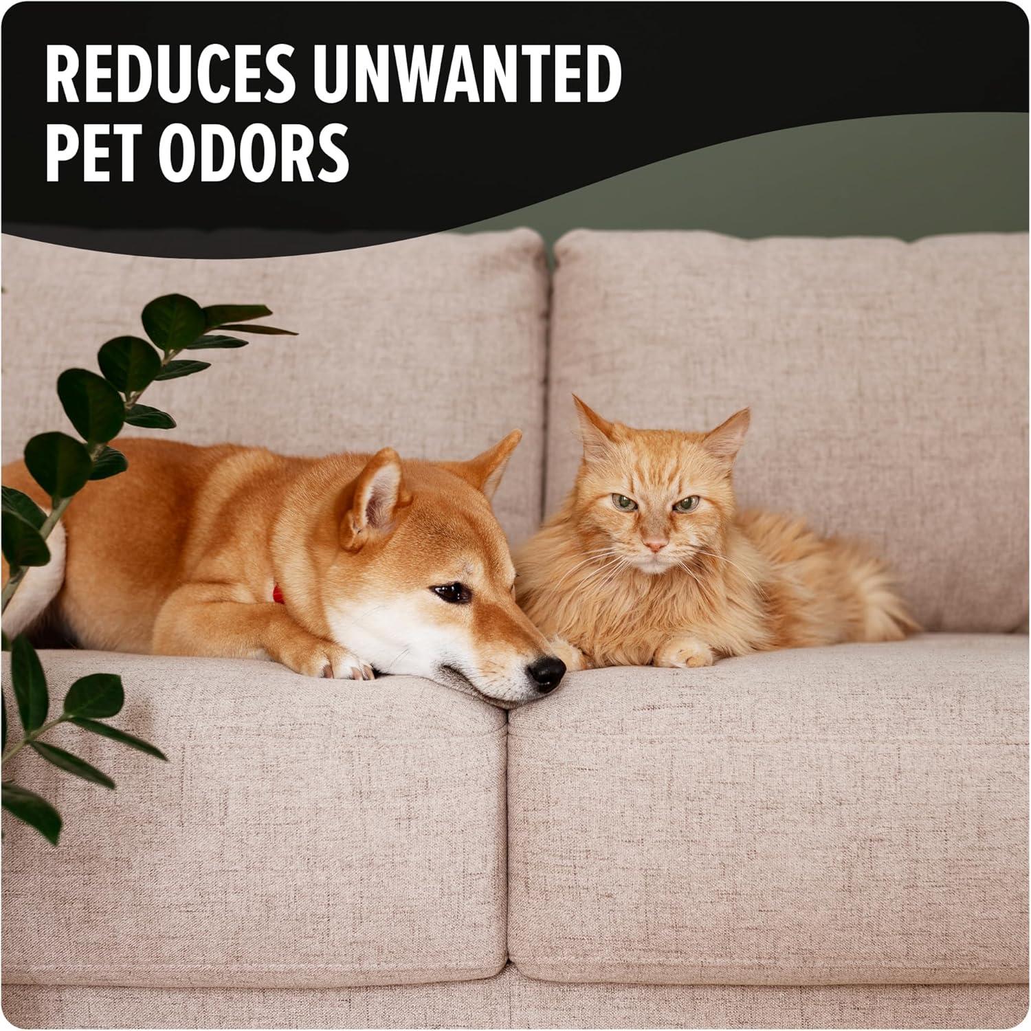 image:imageDirt Devil Pet Carpet Powder 32 oz Room Refresher and Pet Odor Eliminator Tropical Wind Scent Vacuum Cleaner Safe For Use on Carpets Rugs Upholstery and More Carpet Freshener Powder for HomeTropical Wind